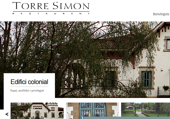 <b>http://www.torresimon.com</b><br>Webdesign, hosting, registre del domini, correu electrónic, posicionament natural en els cercadors d'Internet, manteniment web, assessorament tècnic, seguiment i control de la llei de protecció de dades.